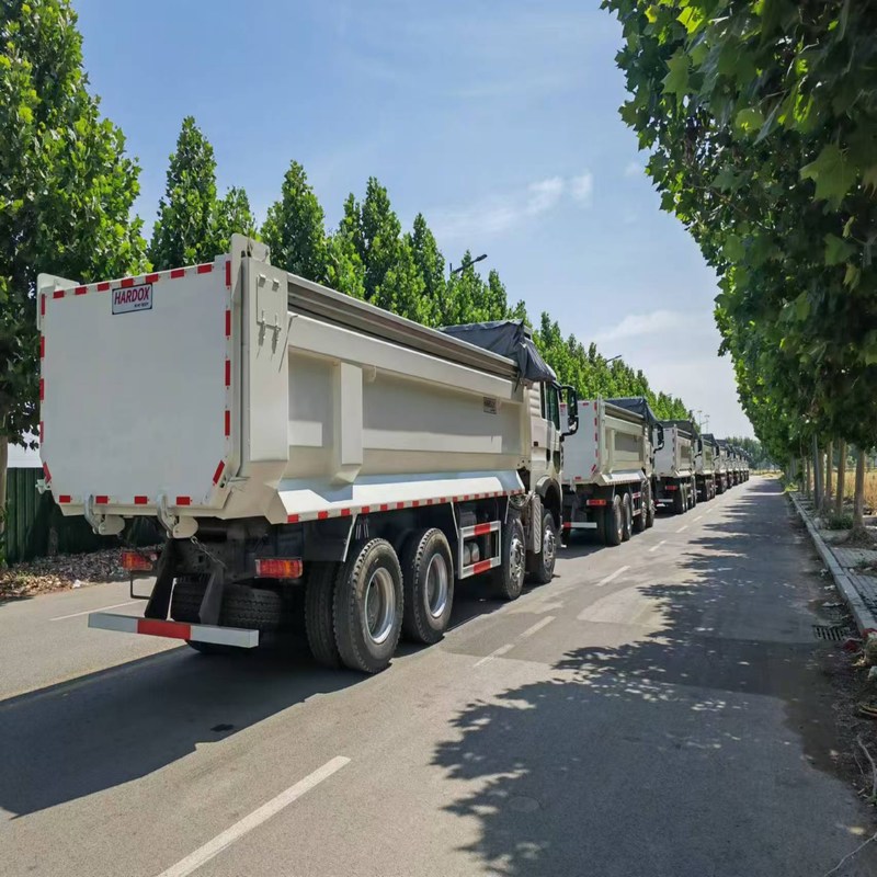 Caminhão de descarga usado Howo TX Sinotruk Howo 8x4 Tipper 12 Wheeler diesel manual