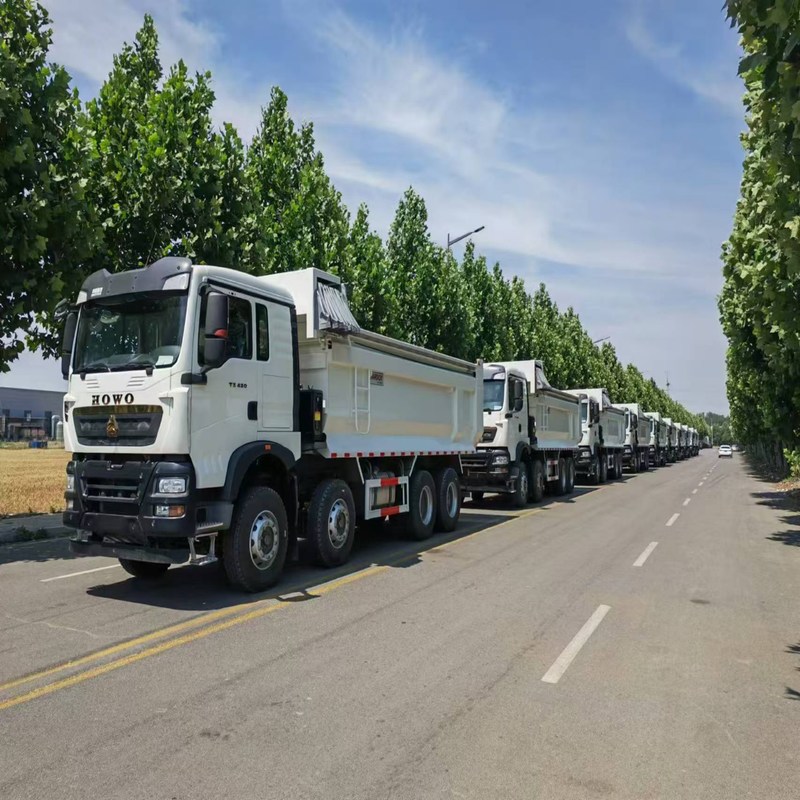 Caminhão de descarga usado Howo TX Sinotruk Howo 8x4 Tipper 12 Wheeler diesel manual