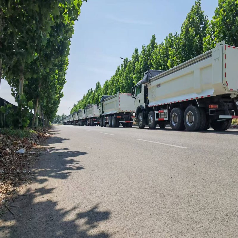 Caminhão de descarga usado Howo TX Sinotruk Howo 8x4 Tipper 12 Wheeler diesel manual
