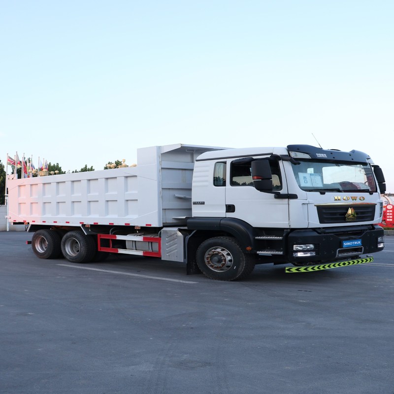 Capacidade usada do veículo com rodas 30m3 do caminhão basculante Howo T5G Sinotruk Howo 6x4 Tipper 10